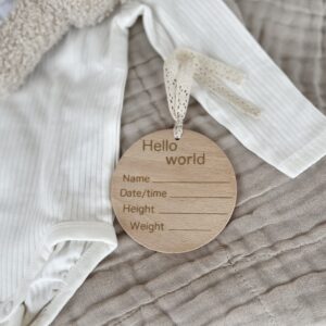 "Hello World" wooden sign